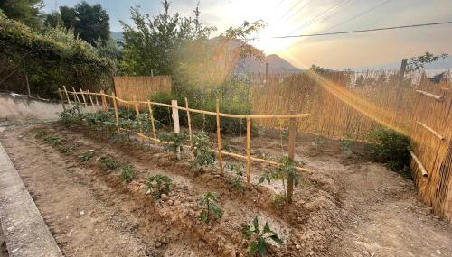 The Doctor's house - Το σπίτι του γιατρού - Foto 4