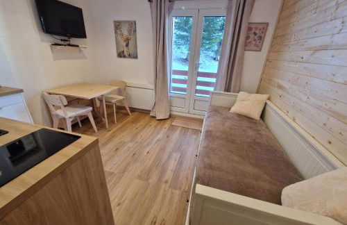 Centre Station - La Vallée Blanche 2 - La Foux - Foto 21