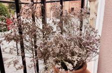 Viviendas con Fines Turísticos Pitico de Barro - Foto 8