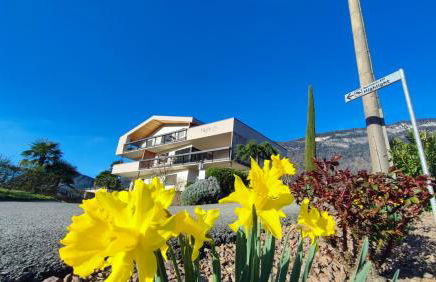 Highlight Apartments - Foto 10