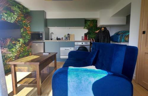 Jungle room au centre des Carroz - Foto 4