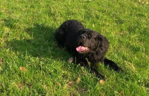 C'era Una Volta - Foto 67