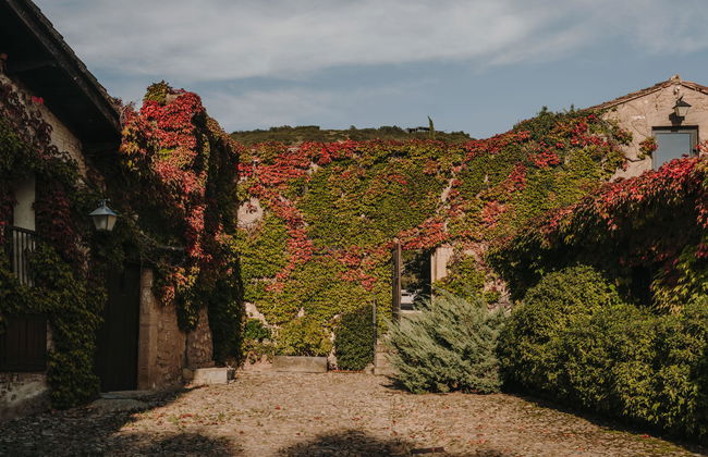 Contino Vineyards Winery (Alava) - Photo 1