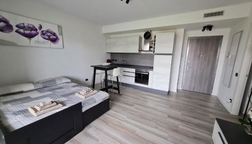 Grazioso Monolocale Milano - Foto 2