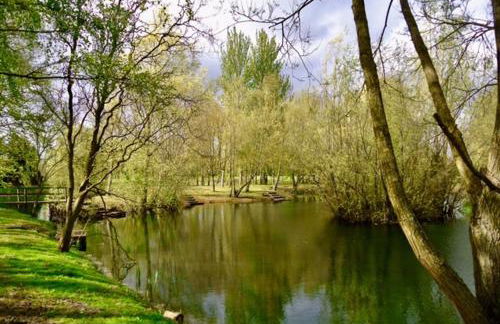 Rose cottage - Photo 25