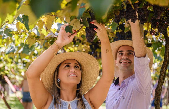 Visita di mezza giornata di un'azienda vinicola - Foto 2