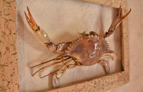 House Robinzon Sea beauty - Photo 45