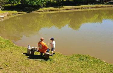 Natureza, paz no sítio - Foto 38