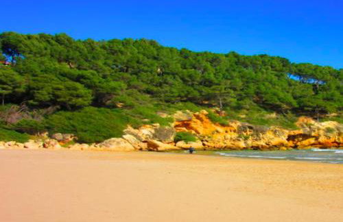 Calipso Tamarit - Foto 63