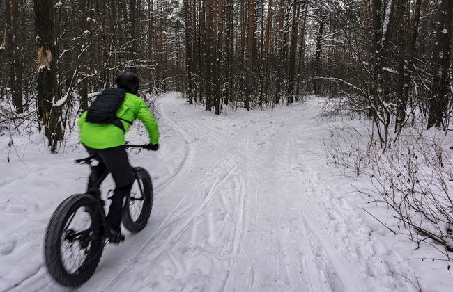 Sandys Beach House - Photo 19