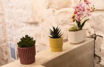 I CAVALIERI - Foto 21