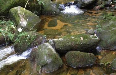 Sítio Bosque Magico - Foto 48