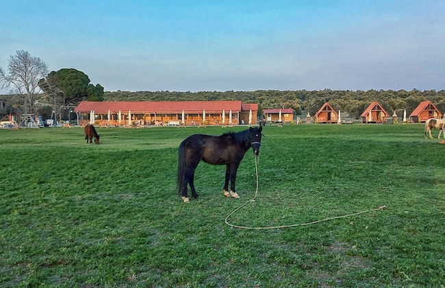Ayvalık Sural Çiftliği Since 1899 - Foto 31