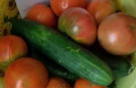 Hospital del Temple Casa Rural - Foto 40