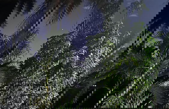 Paradise Bay - Foto 35