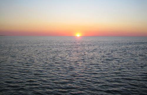 Friesenhaus am Meer - Foto 24