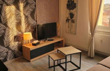 L'Europ'appart - Cosy - Gare - Center parcs -St Croix - Foto 1