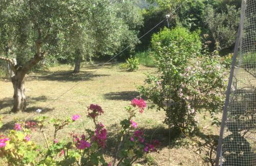 THE CABIN, KYPARISSIA - Foto 35