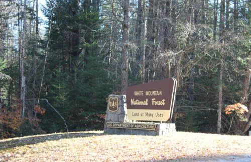 Spacious Private Home in White Mountains-Loon-Owl - Foto 71