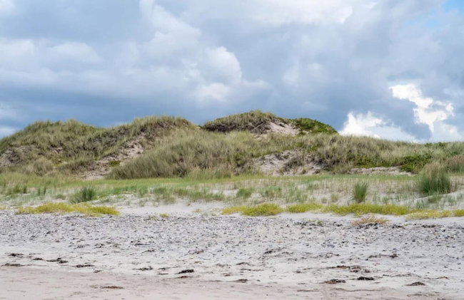 4 Person Holiday Home in Frederiksvaerk - Foto 24