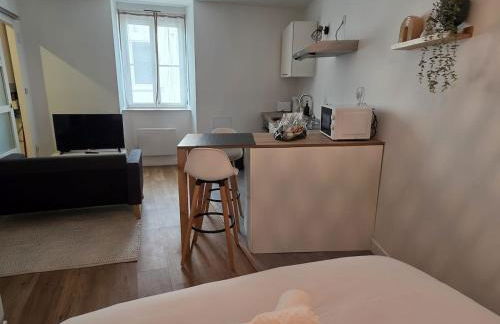 Le Timon - large studio avec Wi-Fi - Foto 7