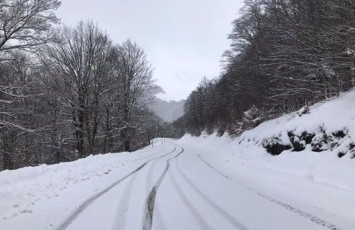 PRINCESSE DES NEIGES - Foto 20