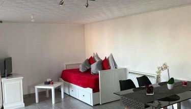 Studio cosy proche Evian - Foto 2