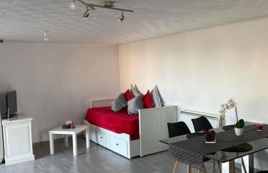 Studio cosy proche Evian - Foto 2