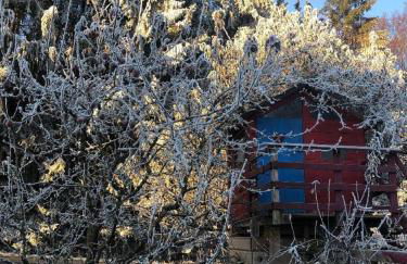 Ferienwohnung Theresa - Photo 16