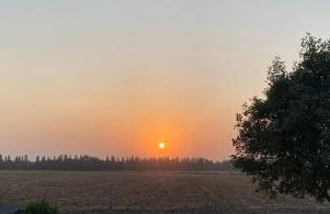 Simla Bungalow, Tetney, Spacious Parking, Private Garden - Foto 35