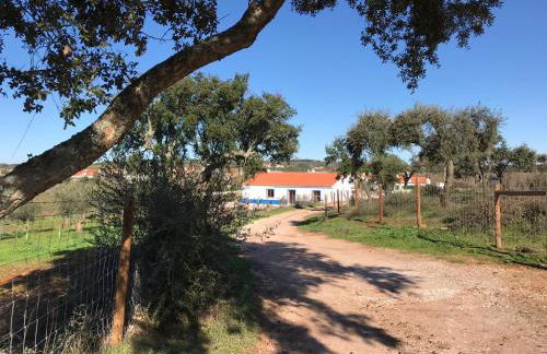 Herdade Da Maridona - Agroturismo - Foto 14