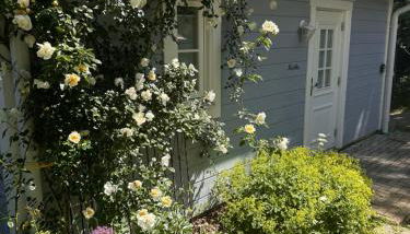 Haus Madita - Foto 3