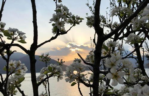 La Casetta Varenna - Foto 64