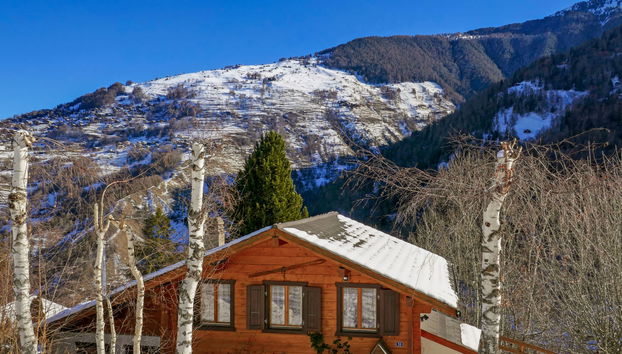 Le Raccard - Foto 2, House