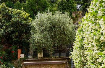 Giardino segreto, in centro - Foto 5