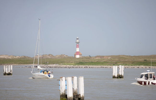 Apartment in Koksijde for 5 Persons - Photo 19
