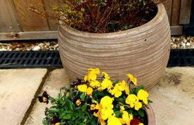 Stylish coastal retreat in St Ives with parking - Foto 12