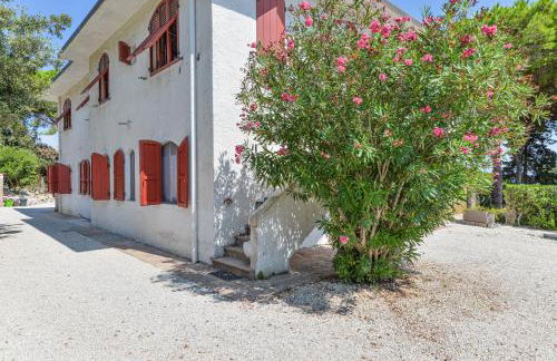 Elba Bellavista -- Casa Cerboli -- - Foto 23