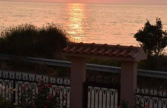 Salt and petals - Foto 54