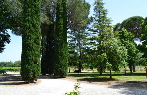 Agriturismo Barcavecchia - Foto 60