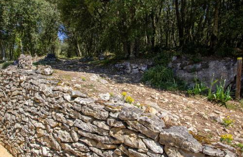 Charmante maison près de Domme et La Roque-Gageac - FR-1-616-16 - Foto 25
