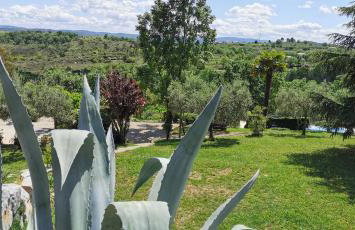 Domaine L'Amourie Sud Ardèche - Foto 45