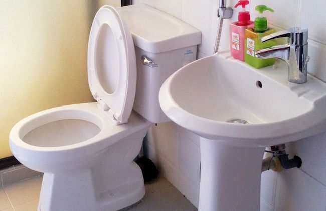 GoldenFlower - Foto 9