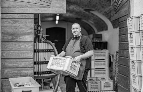 Villa Milesi in Franciacorta - Foto 52