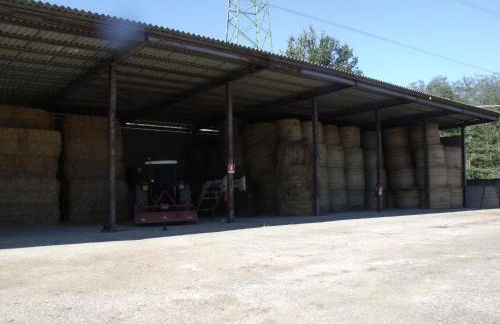 Agriturismo Podere Montese - Foto 68