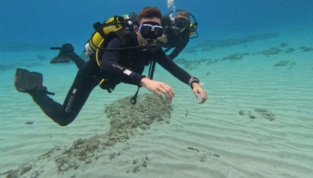 Son Xoriguer Beginners Diving Course - Foto 5