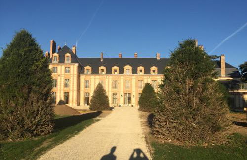 Exceptionnel Château près de Paris - Foto 64