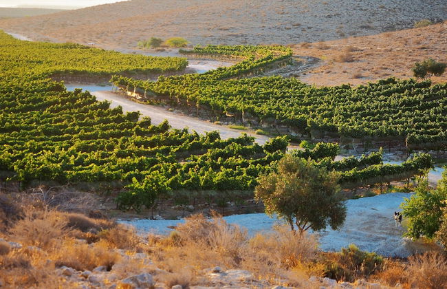 Carmey Avdat Farm - Foto 44