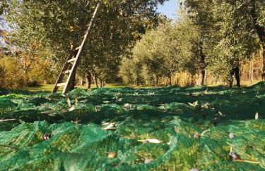 Agriturismo Roccagelli - Photo 58