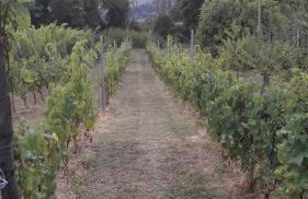 L' INCANTO - Foto 18